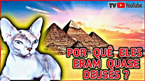 Por Quê no Antigo EGITO os GATOS eram IDOLATRADOS ? #youtube #history