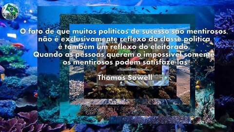 #aovivo Paz aos conservadores e aos defensores da Verdadeira Democracia 17/08/2022 BOLSONARO 2022