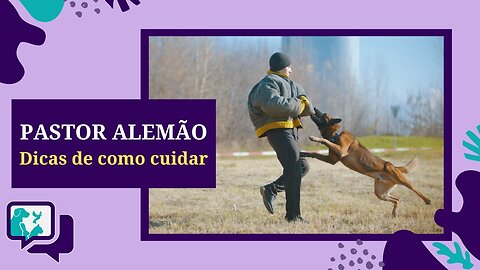 PASTOR ALEMÃO - 5 Dicas para você CUIDAR AINDA MELHOR do seu pet dessa raça