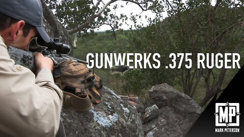 Gun Review - Mark's Gunwerks .375 Ruger | Mark Peterson Hunting