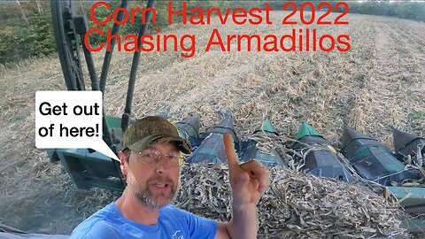 Corn Harvest 2022: Chasing Armadillos