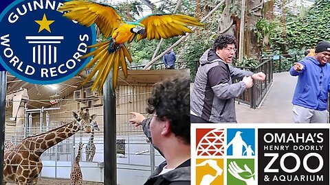 ATTACKED by a PARROT at the WORLDS LARGEST ZOO