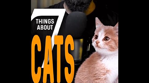 7 Things Of Cat In Islam