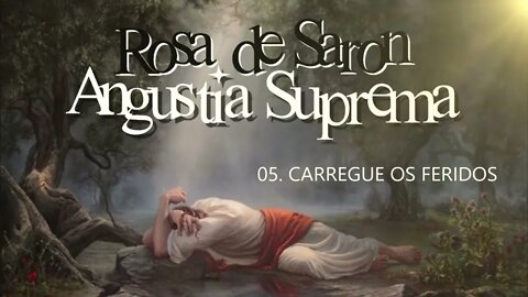 ROSA DE SARON (ANGÚSTIA SUPREMA | 1997) 05. CARREGUE OS FERIDOS ヅ