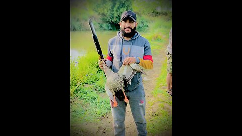 Duck Hunting in Pakistan Sialkot