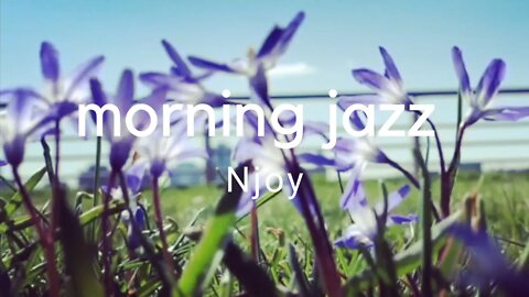 Morning JAZZ - Njoy 🎺 Chill Out LOFI [no copyright music for vlogs]