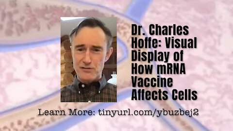 Dr. Charles Hoffe: Visual Display Of How mRNA Vaccine Affects Cells