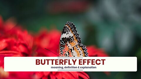 What is BUTTERFLY EFFECT?