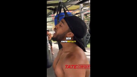 TATE BEATS UP A FAN