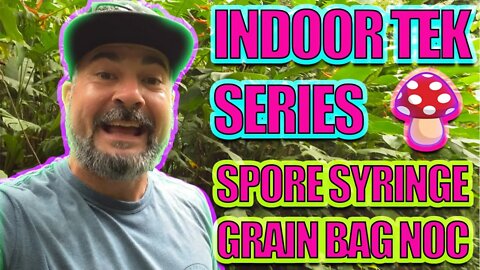 HOW TO MAKE A SPORE SYRINGE AND INOCULATE A GRAIN BAG (FULL GUIDE) Indoor tek LIMITED series