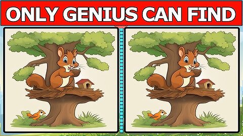 Find Difference in Picture Game - Easy levels find Difference in Two Pictures - Game for Genius 🧠