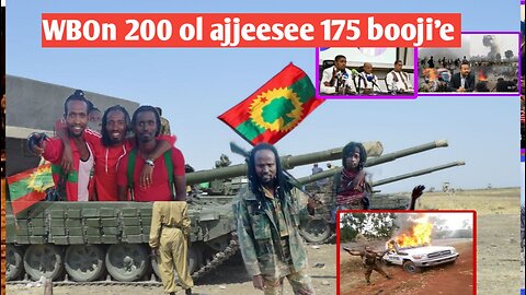 SAGLII SHOW 23/3/2024 WBOn 200 ol ajjeesee 175 booji'e