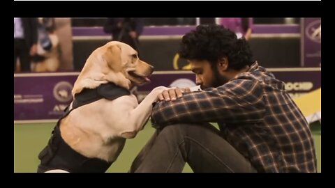 dog vs man emotional viral video