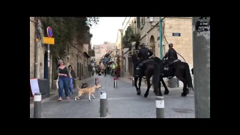 Love For His People Ahava Adventures - Jerusalem police on their horses patrolling the city