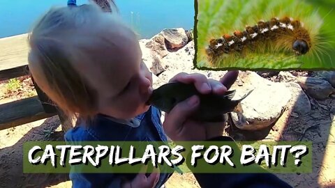 Bank Fishing with My Girls! (Caterpillars for Bait???)