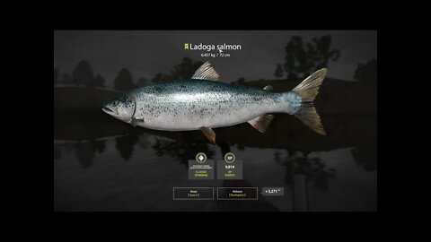 Russian Fishing 4 Volkhov River Ladogo Salmon 6.457 Kg