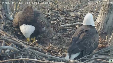 Hays Eagles Dad brings Mom a gift Catfish 2021 03 19 16:49