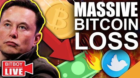 $1.1 Billion BITCOIN Loss! + Elon Musk Pumping NFTs on Twitter