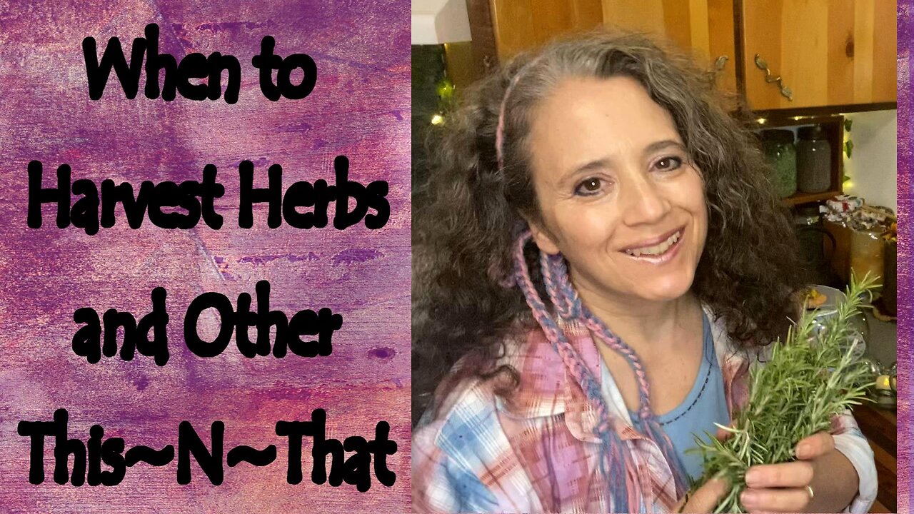 When to Harvest Herbs and Other ThisNThat