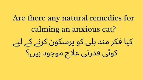 Are there any natural remedies for calming an anxious cat