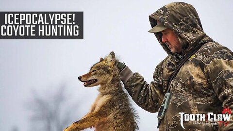 Icepocalypse - Coyote Hunting