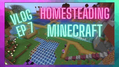 Minecraft Homesteading VLOG EP 7: BBQ Stuffed Fizzy