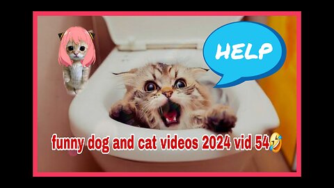 🤣🤣🤣🤣 funny cat and dog videos 2024 ...Funniest 🤣🤣🤣🤣