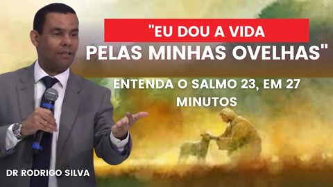 SALMO 23, EM 27 MINUTOS | MELHOR EXPLICAÇÃO | Dr. Rodrigo Silva