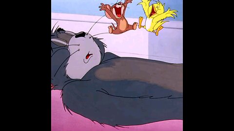 tom and jerry videos cartoon/tom and jerry videos cartoon