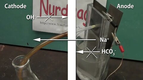 Make Sodium Hydroxide by Electrolysis with a Nafion Membrane Cell