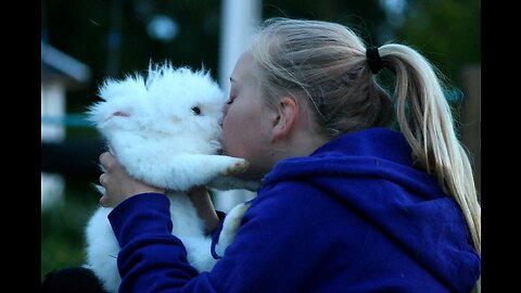 Rabbit Kissing a Girl