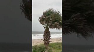 Hunkering Down on the Ocean Right in the path of #Ian #hurricane #shorts 😱🌊🌪️🌫️