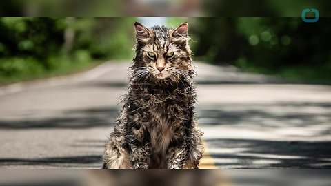 ‘Pet Sematary’ Is A Worthy Remake Despite Spoiler Heavy Trailer