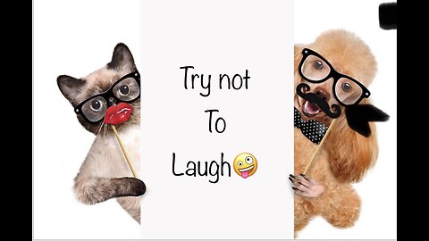 Laughing Fits Guaranteed: Epic Dog and Cat Comedy”