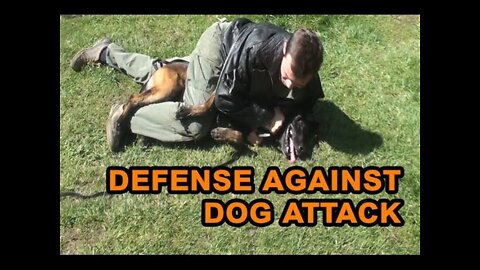 Self defense against a dog attack!