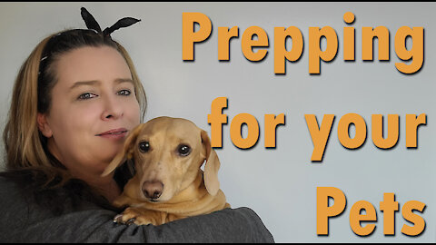 Prepping for your Pets ~ What we keep on hand for Sort & Long Term Emergencies