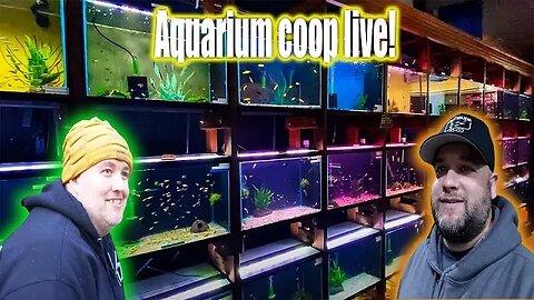 Steenfott Aquatics Live with Aquarium Coop!!!