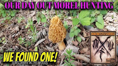 Looking for Morels but found a Subscriber instead!