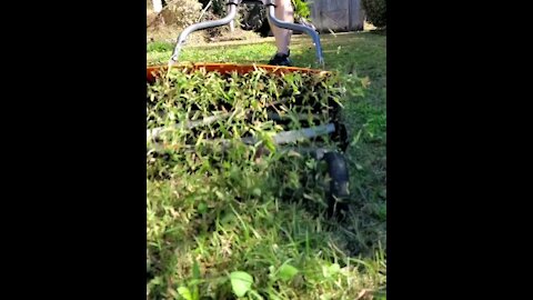 Reel mower slow motion.