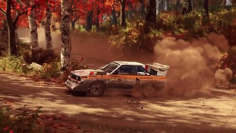 DiRT Rally 2 - Replay - Audi Sport Quattro S1 E2 at Beaver Creek Trail Reverse