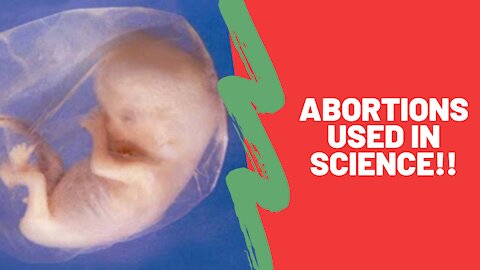 End the Use of Aborted Children in Science