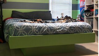 DIY Platform Bed