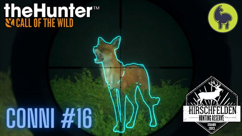 Conni #16 Hirschfelden | theHunter: Call of the Wild (PS5 4K)