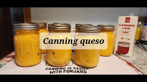 Canning queso THIS IS A REBEL CANNING PROJECT #canning #queso