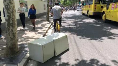 Uomo trasporta frigorifero con un bicicletta