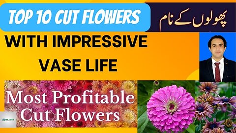 Top 10 cut flowers with impressive vase life