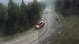 DiRT Rally 2 - Replay - Citroen C3 at Bronfelen