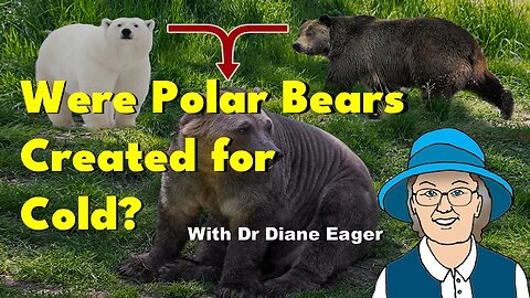 Were Polar Bears Created for the Cold?