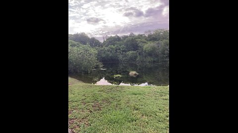 Beauty lake in miami