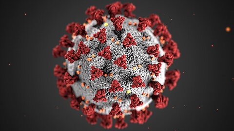 MASSIVE Scientific Article Concludes COVID Restriction Site Fingerprint Typical Of Synthetic Viruses